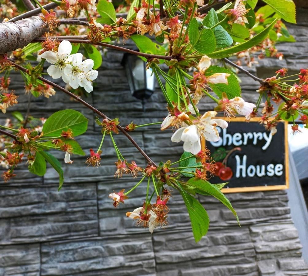 Cherry House Степанцмінда Екстер'єр фото